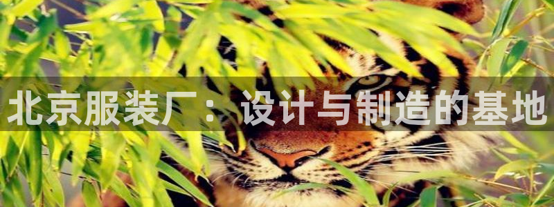 乐豪发游戏平台