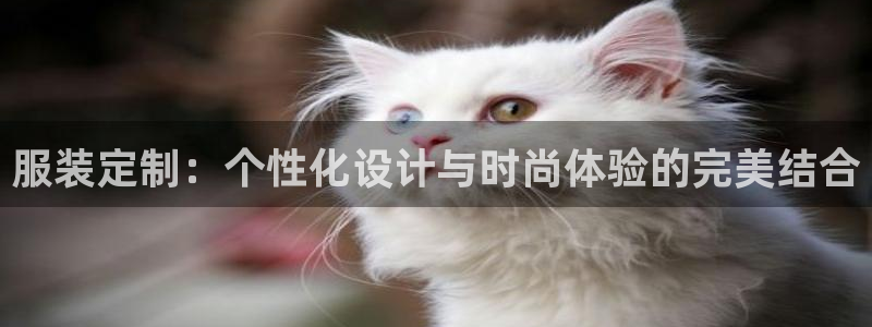 百乐发娱乐平台