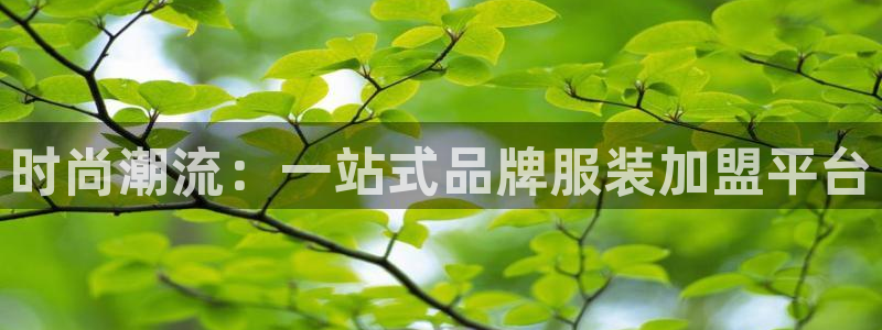 乐发旗下的平台有多少