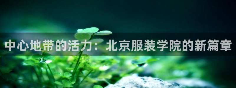 乐发彩票登录平台官网