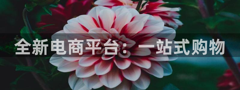 乐发x这个平台靠谱吗