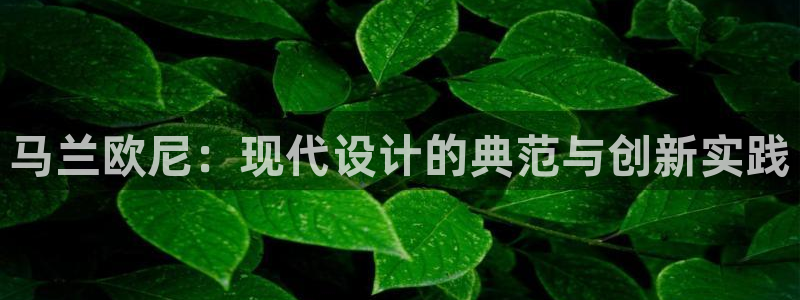 名发乐彩IV平台怎么样