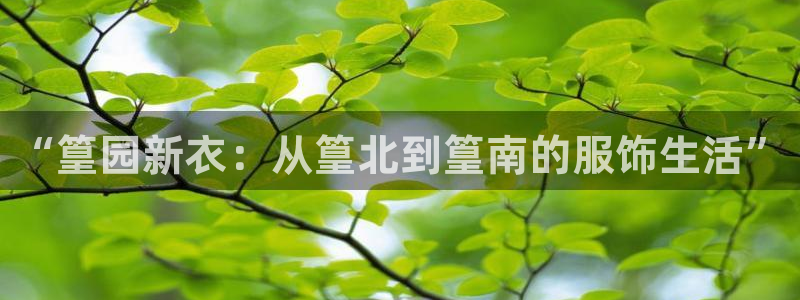 乐豪发娱乐官方平台