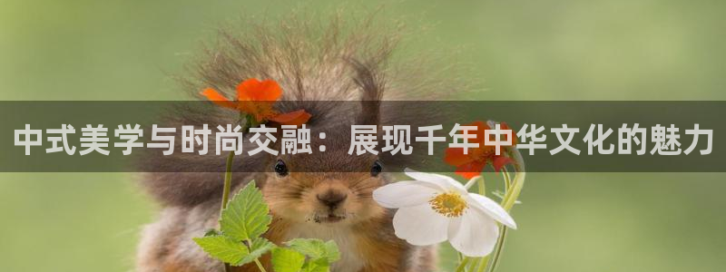乐发彩票直播平台官网