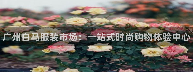 乐发平台下载安装官网