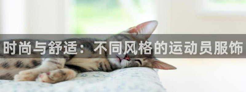 乐豪发娱乐平台