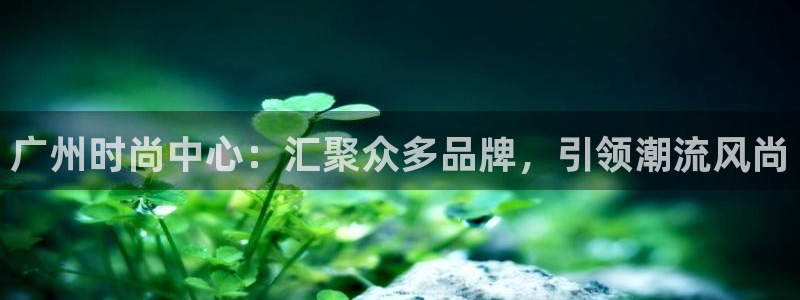 乐发平台注册下载安装