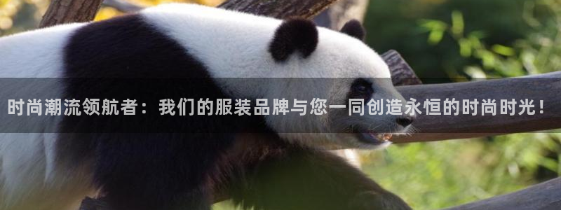 百乐发娱乐平台
