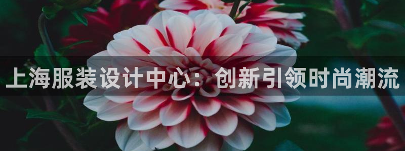 乐发平台彩票怎么样