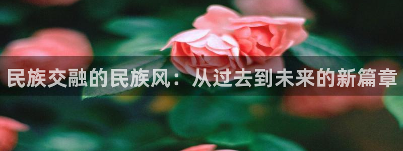 乐发分期是什么贷款平台
