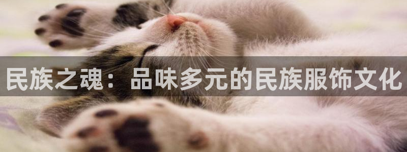 乐发IV平台注册