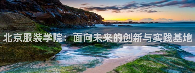 乐发平台a