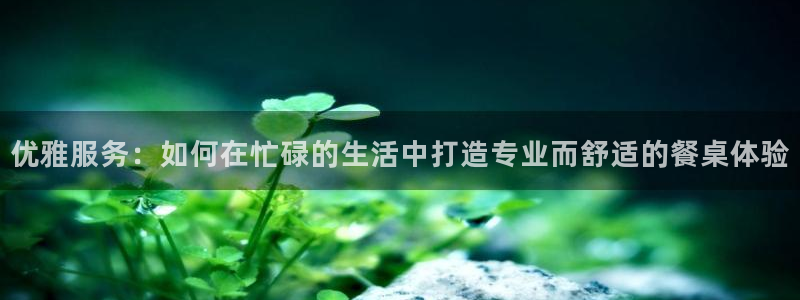 乐发平台官网邀请码