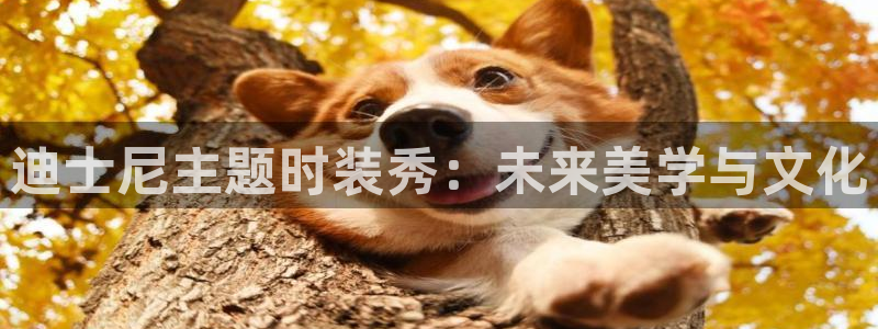 乐发传媒是怎样的平台