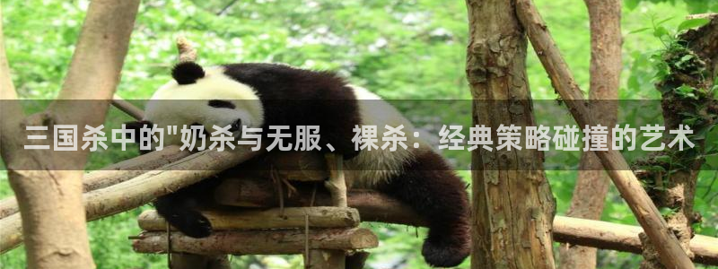 乐发 lll平台