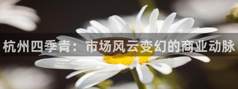 乐发国际平台