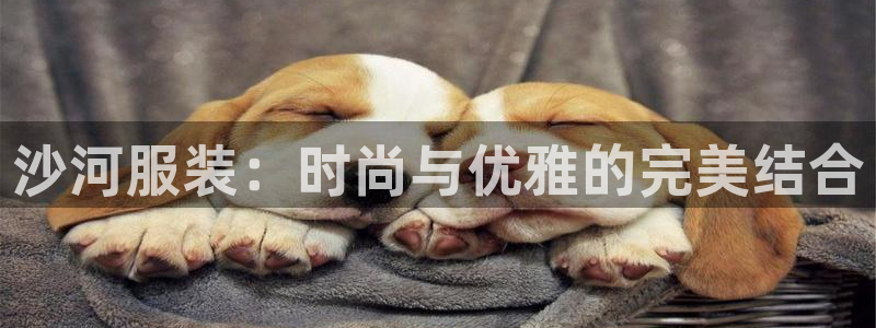 乐发平台注册地址
