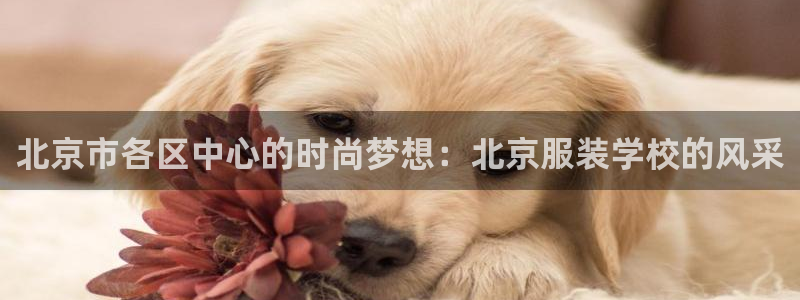 乐豪发真人平台