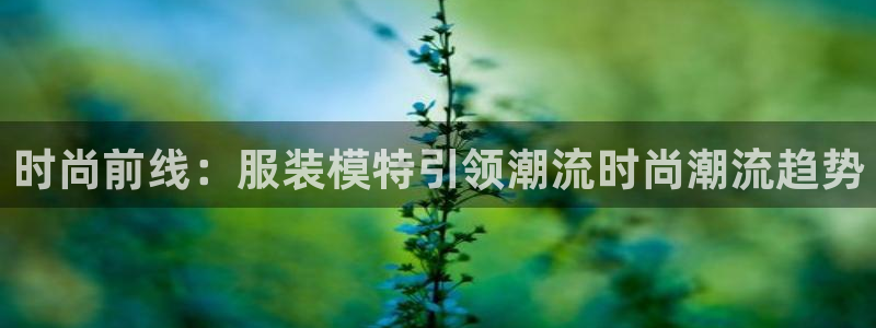 乐发平台赚钱技巧