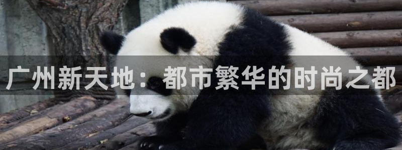 贝发知乐读写平台