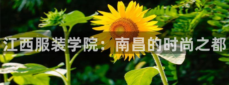 乐发彩票平台网址