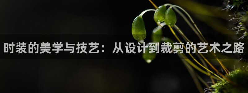 乐发彩票平台玩能赚钱吗