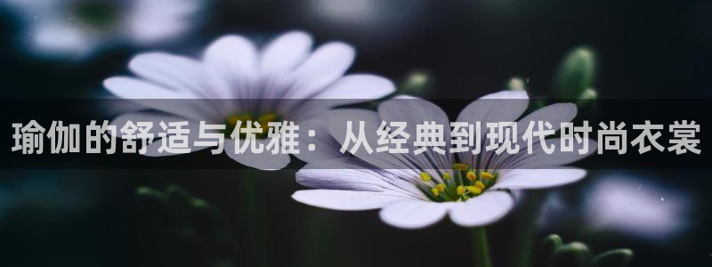乐发国际娱乐平台