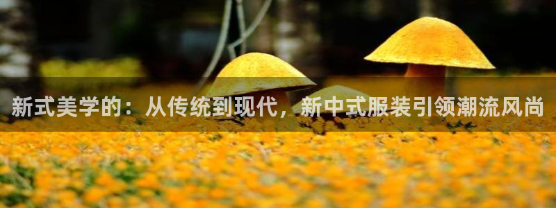 乐发彩票登录平台下载