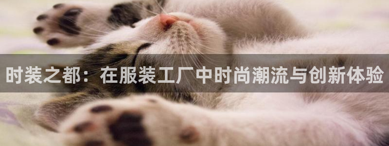乐发邀请码平台有哪些