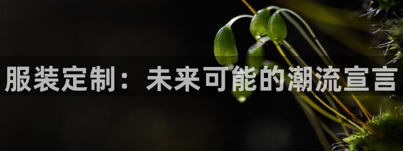 乐发彩票平台下载安装