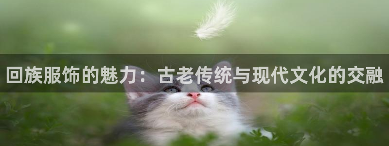 乐发邀请码平台是什么