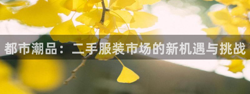 乐发IV平台注册