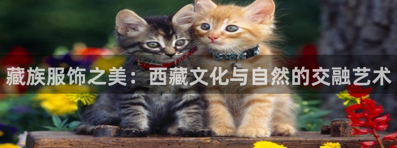 乐发平台注册资金多少