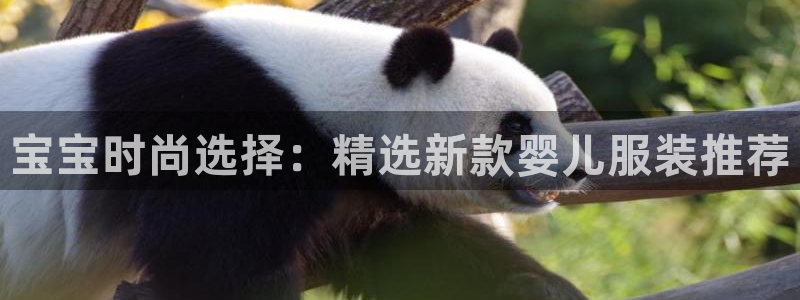 乐发 il彩票平台入口