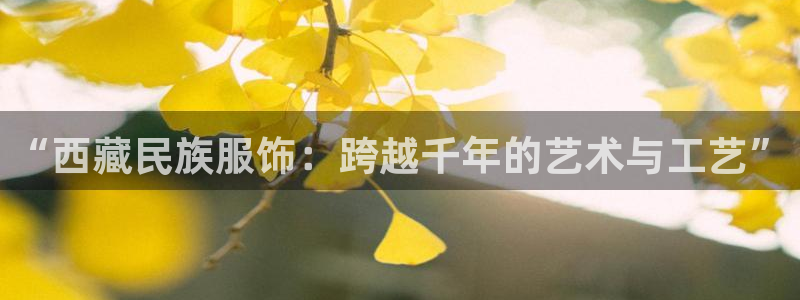 乐发乐发平台邀请码