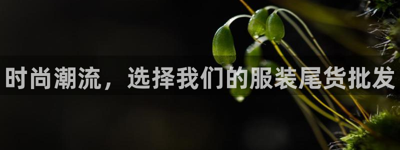 类似乐虎优发老虎机平台