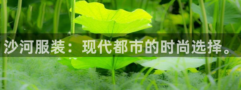 乐发ll 中彩平台