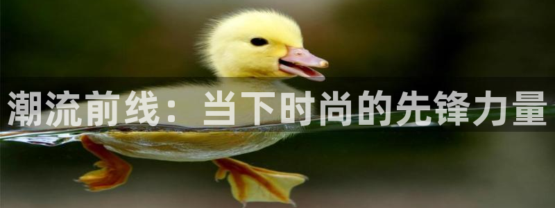 乐发第一娱乐平台邀请码