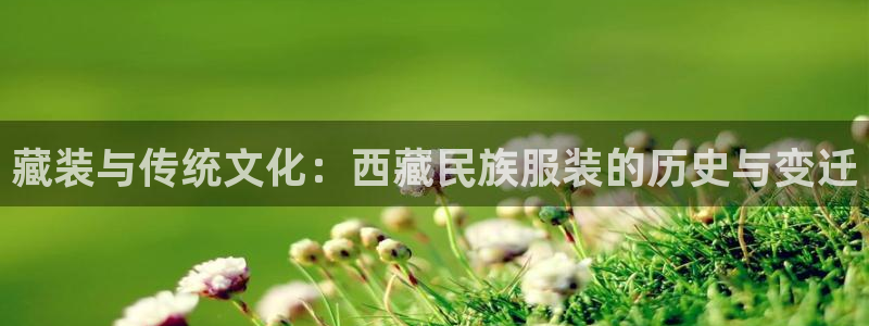 乐发lv官方平台电话