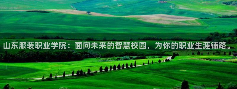 乐发是正规大平台吗