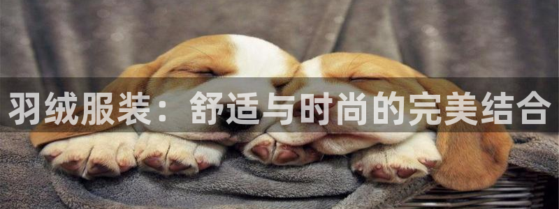 乐赚平台发圈app