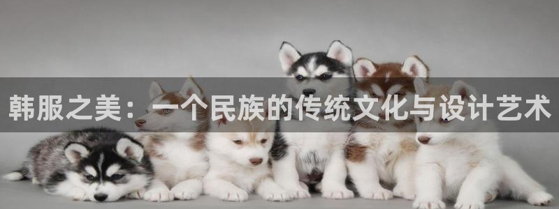 乐发lv官方平台电话